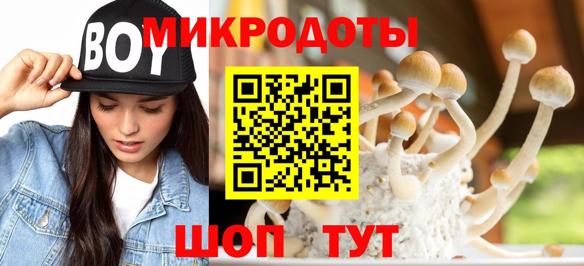 купить закладку  Псилоцибиновые грибы Magic Shrooms  Псилоцибиновые грибы мицелий  Вход с VPN  Ливны 