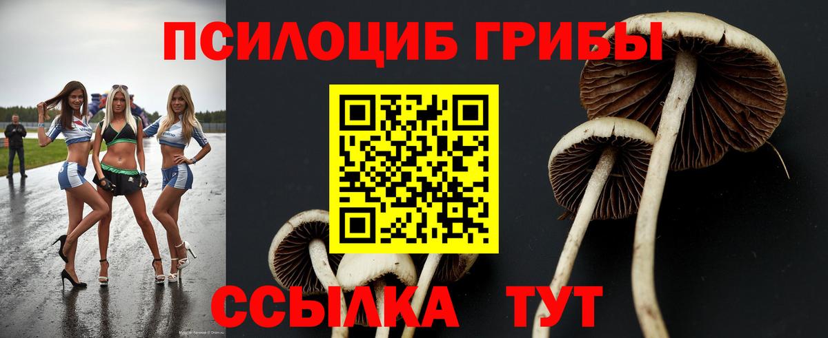 Галлюциногенные грибы Magic Shrooms Ливны
